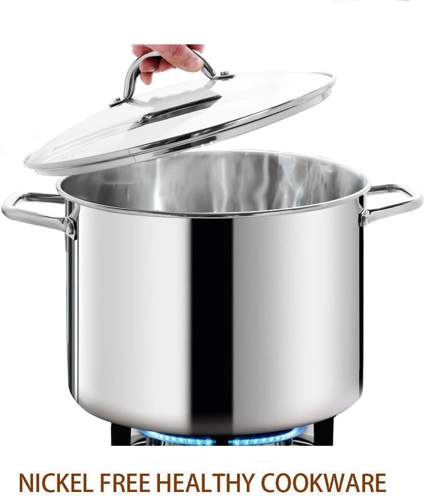 12 Quart LARGE Stock Pot with Glass Lid