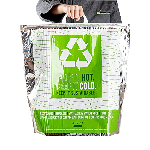 Green And Silver Plastic Thermal Bag (10 Count)