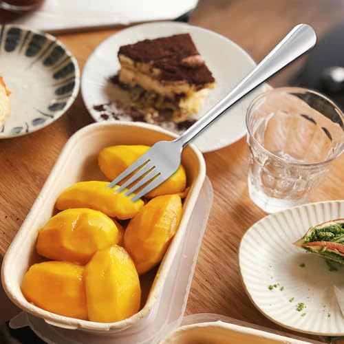 Windsor 60 Piece Set Stainless Steel Dinner Forks (60 Count)