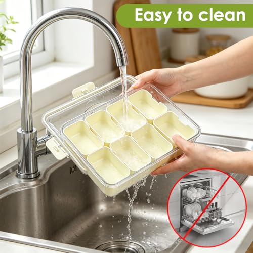Divided Serving Tray with Lid and Handle