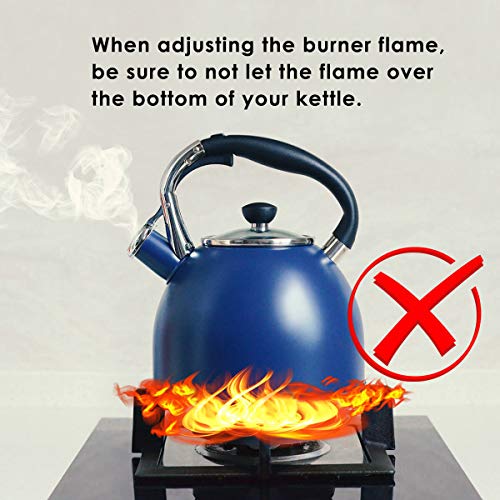 Whistling Tea Kettle for Stove Top