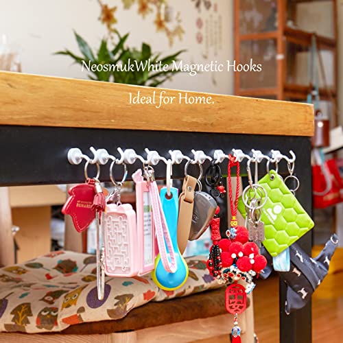 Magnetic Hooks (10 Count)