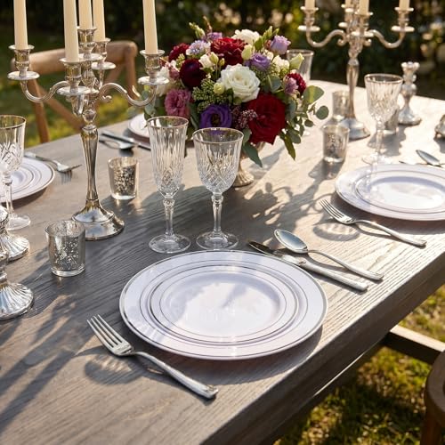 102 Pcs Silver Plastic Plates (51 Count)