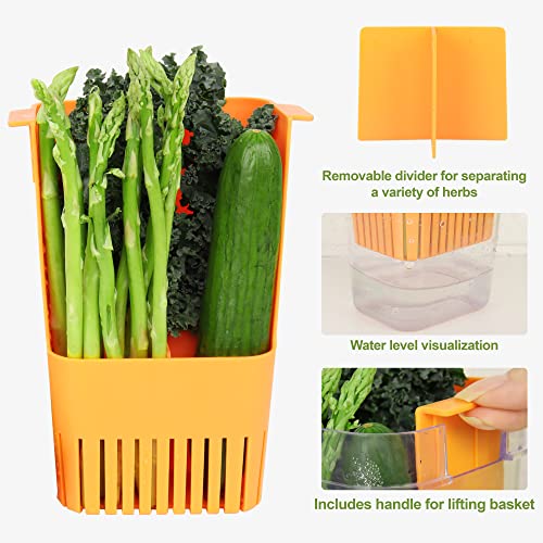 3 Pack Herb Keeper (3 Count)