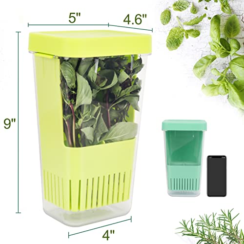 3 Pack Herb Keeper (3 Count)