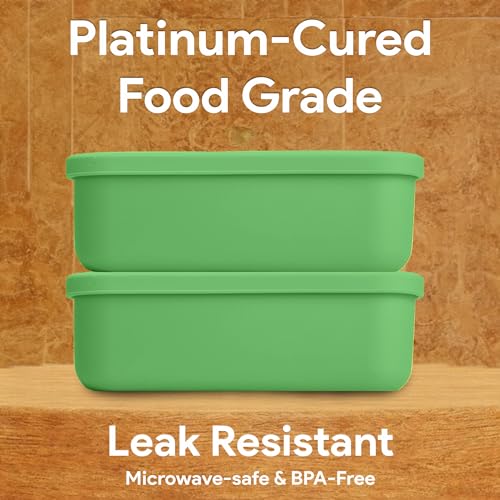 Platinum Silicone Bento Lunch Box Set of 2 (2 Count)
