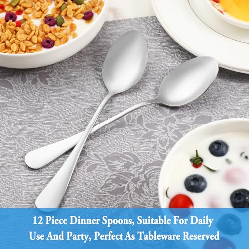 12 Pcs Dinner Spoon Set (12 Count)