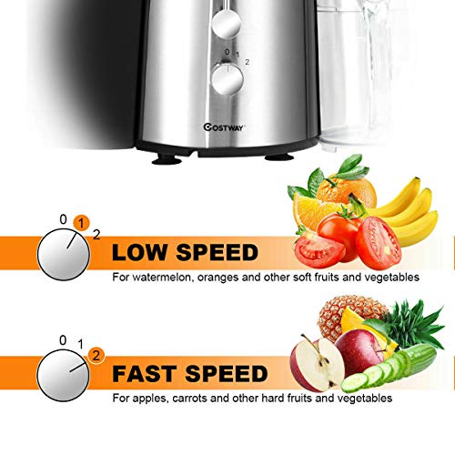 Juice Extractor