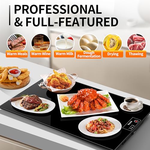 Electric Warming Tray