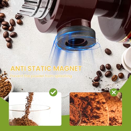 Electric Burr Coffee Grinder