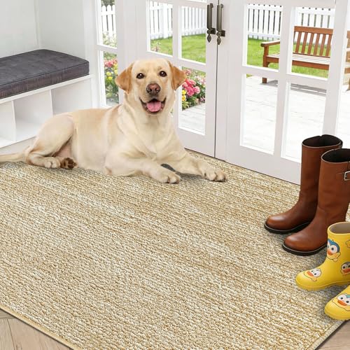 Indoor Door Mat