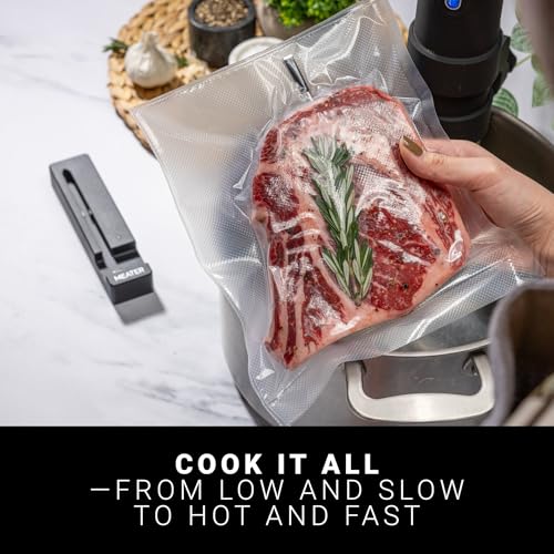 SE Wireless Smart Meat Thermometer