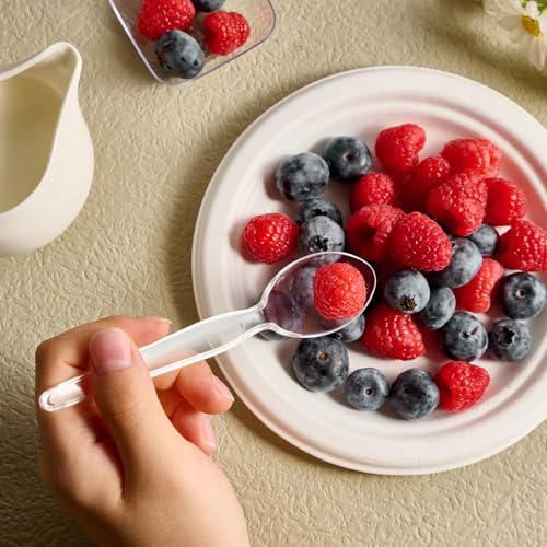 300 Count] Clear Plastic Spoons