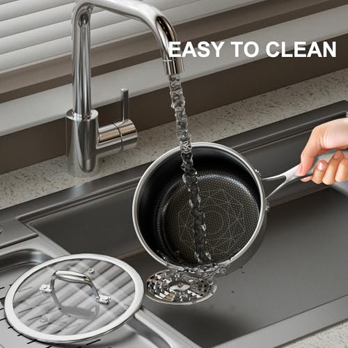Stainless Steel Saucepan with Lid