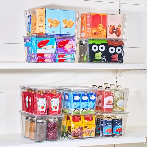 Large Clear Storage Bins with Lids (6 Count)