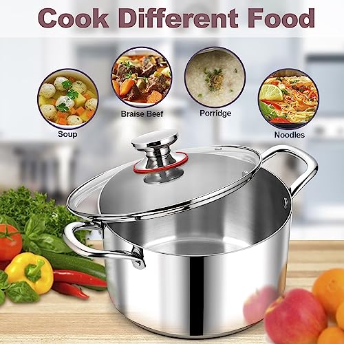 6QT 18 10 Stainless Steel Stockpot with Lid