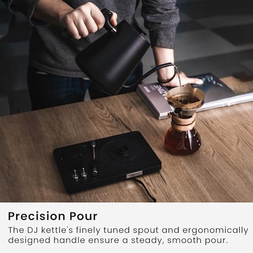 DJ Electric Gooseneck Kettle