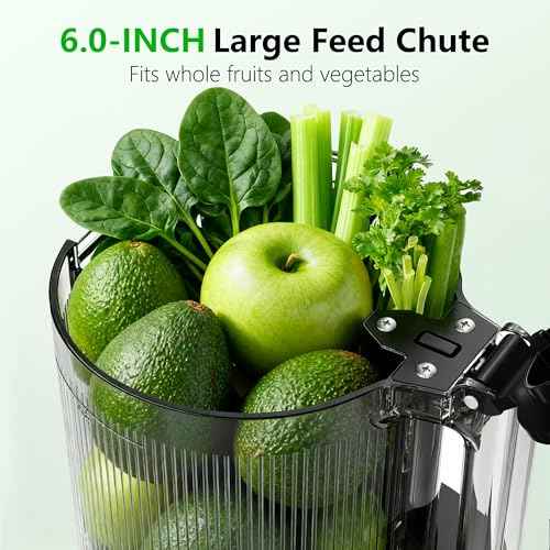Cold Press Juicer