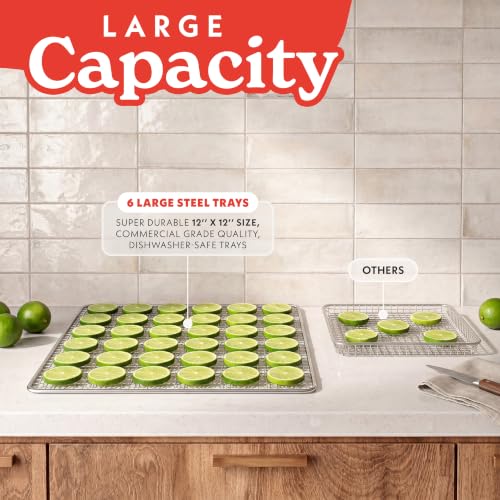 Digital Food Dehydrator