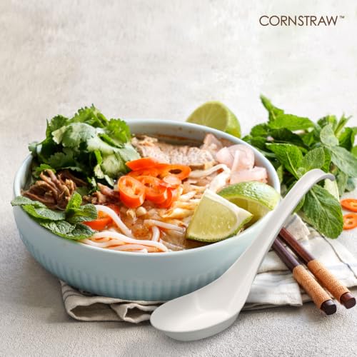 Disposable PLA Cornstarch Asian Soup Spoons with Hook Plastic (50 Count)