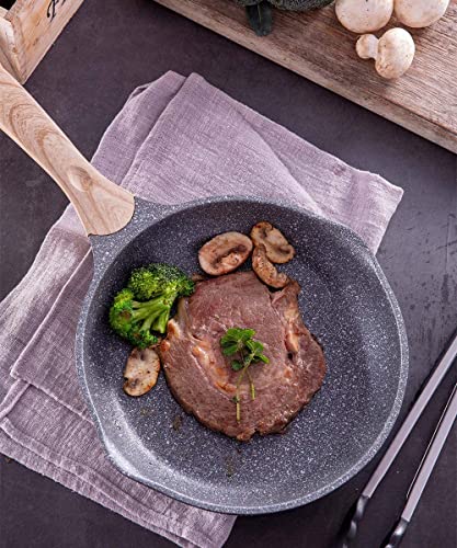 11 Inch Nonstick Frying Pan Skillet with Dual Spouts Cooking Pan