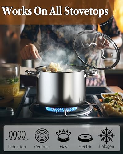 8 Quart Tri Ply Clad Stainless Steel Stockpot with Lid