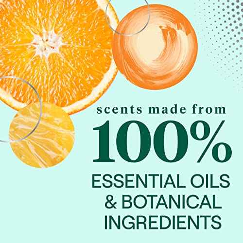 Dish Liquid Soap (114 Fl Oz)