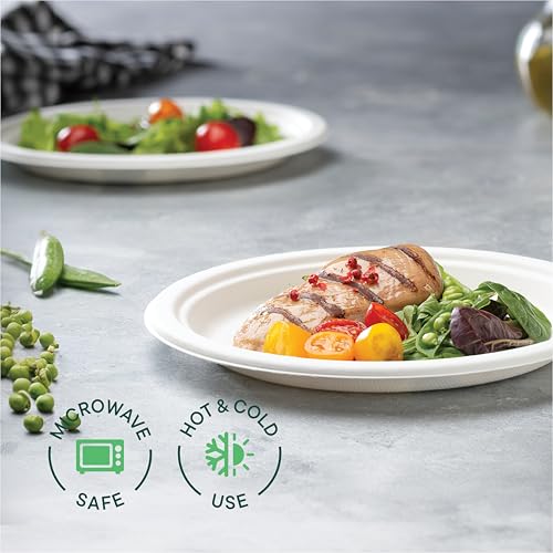 100% Compostable Paper Plates 9 Inch [500 Count] Heavy