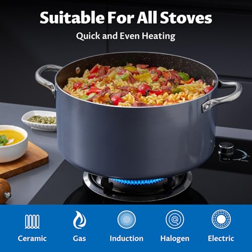 10 Quart Nonstick Stock Pot with Lid