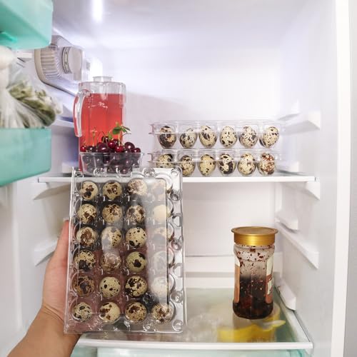 120 Pack Quail Egg Cartons (120 Count)