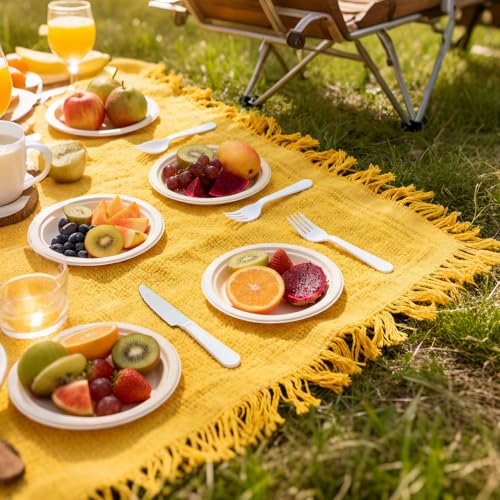 Compostable Small Paper Plates 6 Inch 125 Pack Dessert Plates (125 Count)