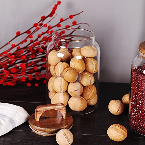 Canister Set of 2 (2 Count)