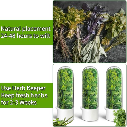 Herb Saver for Refrigerator (2 Count)