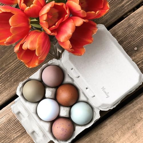White Half Dozen Blank Egg Cartons (20 Count)