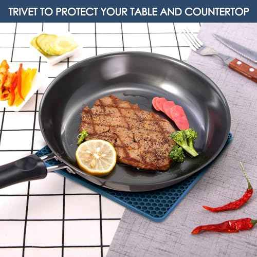Silicone Trivets for Hot Dishes