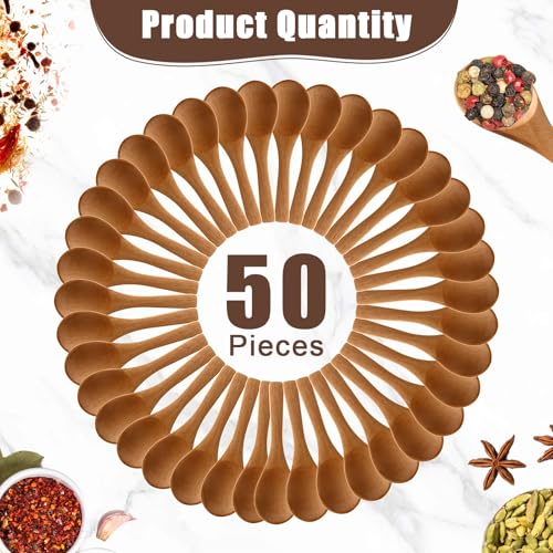 50 Pcs Small Wooden Spoons (50 Count)