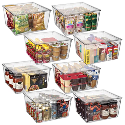 Plastic Storage Bins with Lids