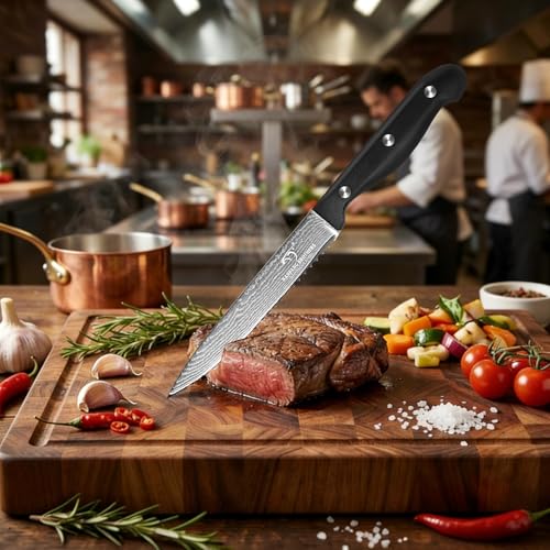 9 Piece Japanese Damascus Kitchen Knife Set with Block (9 Count)