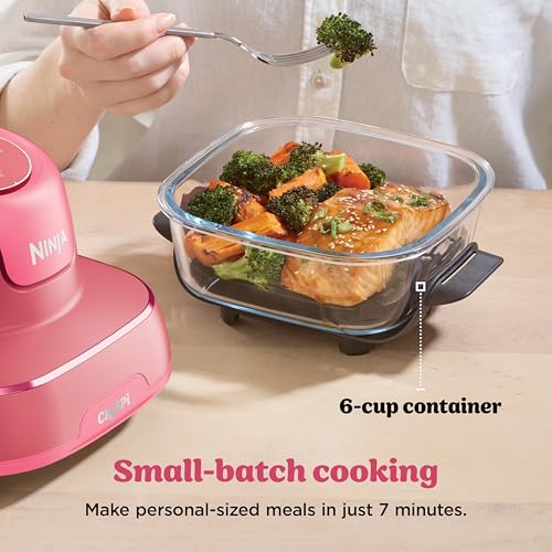 Crispi Glass Air Fryer