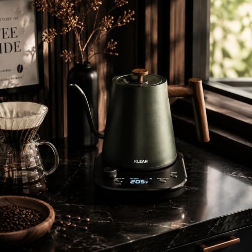 Gooseneck Electric Kettle with Temperature Control