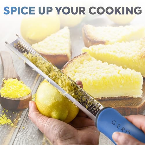 Stainless Steel Cheese Grater & Lemon Zester w