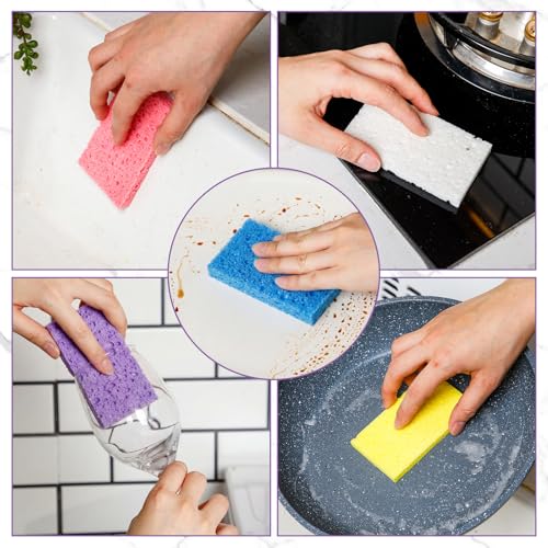 504 Pieces Compressed Wood Pulp Dish Sponges for Kitchen (504 Count)