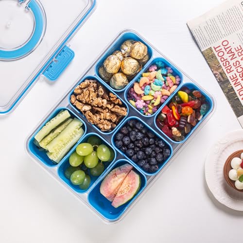 Divided Serving Tray with Lid and Handle