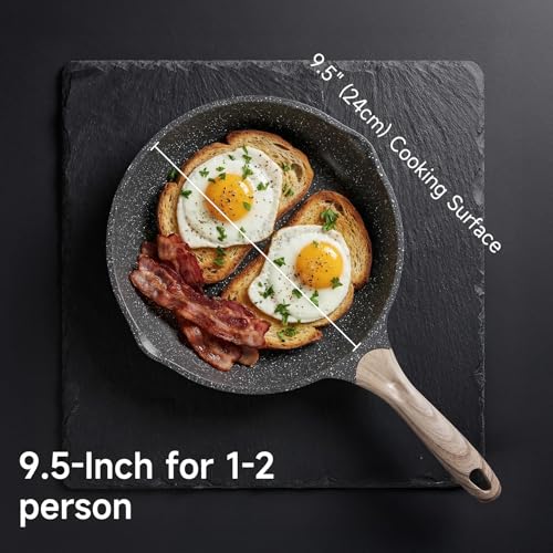 9.5 Inch Nonstick Frying Pan Skillet with Dual Spouts Omelet Egg Pan