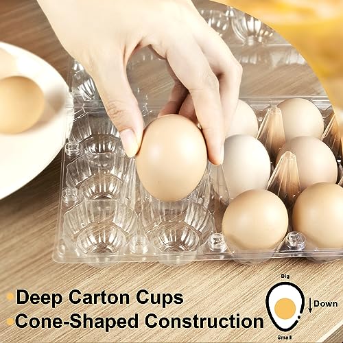 40 Pack Egg Cartons (40 Count)