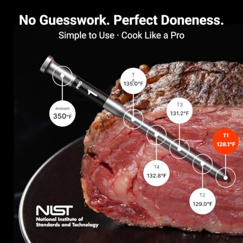 3000FT Wireless Meat Thermometer