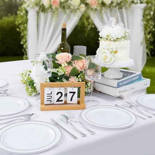 100PCS Silver Plastic Plates (100 Count)