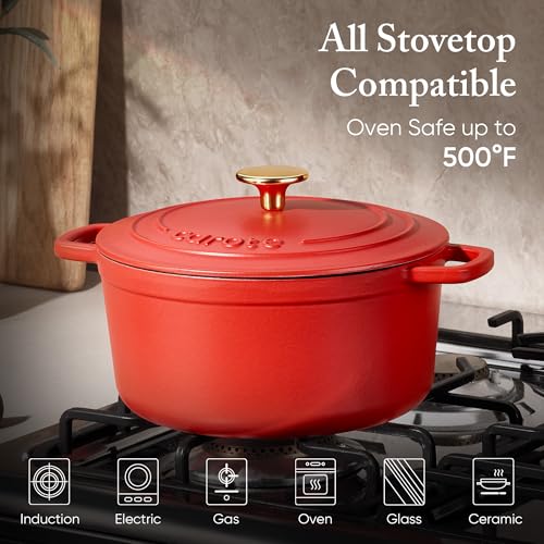 Enameled Cast Iron Dutch Oven Pot with Lid