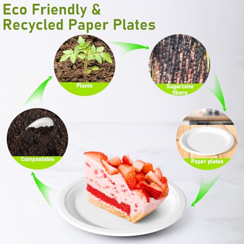 Small Paper Plates 7 inch (500 Count)