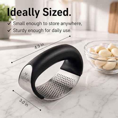 Stainless Steel Garlic Press Rocker Set